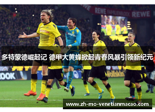 多特蒙德崛起记 德甲大黄蜂掀起青春风暴引领新纪元 多特蒙德崛起记 德甲大黄蜂掀起青春风暴引领新纪元